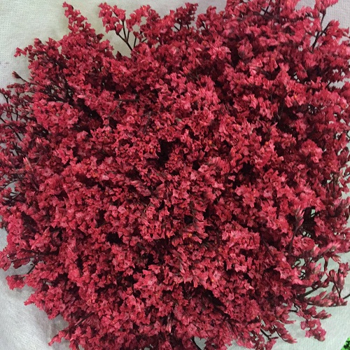 产品中心 染色花材 红色水晶草(染) 价格:-- 库存:25 扎 颜色:红色